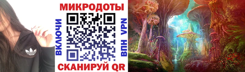 Псилоцибиновые грибы GOLDEN TEACHER  omg вход  Катайск 